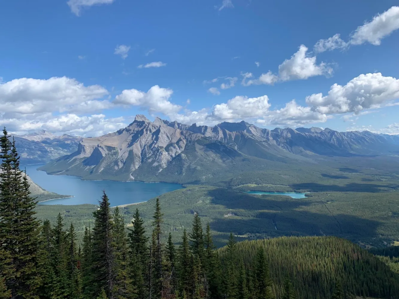 Roam Your Own Private Tours